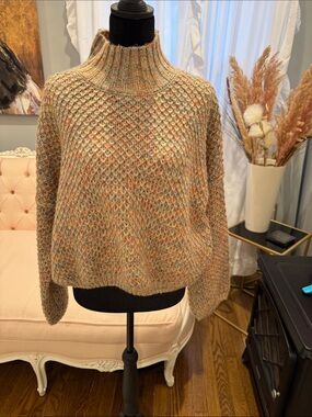 Neutral Multicolor Ribbed Turtleneck Sweater - Women